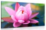 Dovido Tablou floare fascinantă plutitoare - 120x80