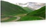 Dovido Tablou peisajul verde - 80x40