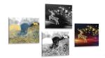 Dovido Set tablouri cerbi de basme în design abstract - 4x 60x60