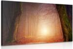 Dovido Tablou pădure în culori de poveşti - 90x60
