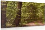 Dovido Tablou pădure verde - 90x60