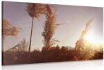 Dovido Tablou atmosfera toamnei - 60x40