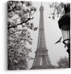 Dovido Tablou turnul Eiffel iarna - 70x70