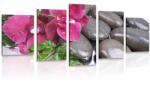 Dovido Tablou 5-piese orhidee înfloritoare și pietre wellness - 100x50