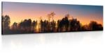 Dovido Tablou pădure învăluită în întuneric - 135x45