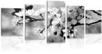 Dovido Tablou 5-piese floare de cireș în design alb-negru - 100x50