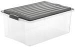 ROTHO Cutie de depozitare COMPACT 38L - gri
