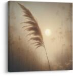 Dovido Tablou iarbă de pampas în lumina soarelui - 40x40