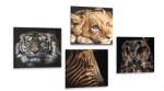 Dovido Set tablouri animale sălbatice - 4x 60x60