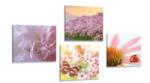 Dovido Set tablouri înflorirea naturii - 4x 60x60