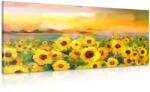 Dovido Tablou câmpul de floarea soarelui - 80x40