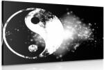 Dovido Tablou simbolul Yin și Yang în design alb-negru - 120x80