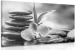 Dovido Tablou compoziție Zen meditativă în design alb-negru - 30x20