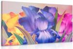 Dovido Tablou fantezie florală - 30x20