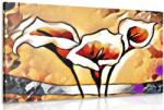 Dovido Tablou cala lily etno artistic - 90x60