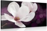 Dovido Tablou magnolie pe fundal abstract - 30x20