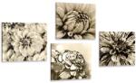 Dovido Set de tablouri flori în design sepia - 4x 60x60