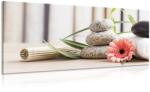 Dovido Tablou natura moartă meditativă și wellness - 60x30
