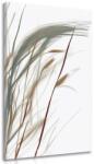 Dovido Tablou fire de iarbă cu atingere de minimalism - 40x80