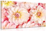 Dovido Tablou flori delicate de dalia - 30x20