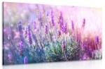 Dovido Tablou magicele flori de lavandă - 90x60
