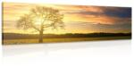 Dovido Tablou copacul singuratic - 90x30