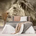 Dovido Tapet leul african în design sepia - 392x264