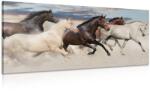 Dovido Tablou turmă de cai - 60x30