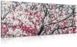 Dovido Tablou flori de piersică - 100x50