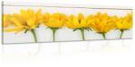 Dovido Tablou flori inedite galbene - 150x50
