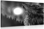Dovido Tablou luna lupului în design alb-negru - 120x80