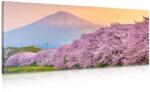Dovido Tablou Japonia minunată - 100x50