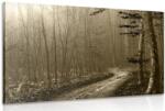 Dovido Tablou cărare sepia spre pădure - 60x40