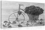 Dovido Tablou bicicletă plină de trandafiri în design alb-negru - 120x80