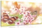 Dovido Tablou florile de primăvară cu fluturi exotici - 120x80