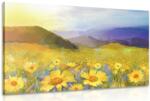 Dovido Tablou câmpul plin de margarete - 90x60