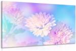 Dovido Tablou floare de crizantemă - 30x20