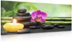 Dovido Tablou natura moartă Feng Shui - 100x50
