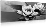 Dovido Tablou floare de lotus pe apă alb-negru - 60x30