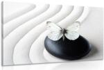 Dovido Tablou fluture alb pe piatră neagră - 40x30