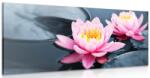 Dovido Tablou floare de lotus pe lac - 140x70