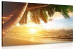 Dovido Tablou răsărit de soare pe o plajă din Caraibe - 30x20