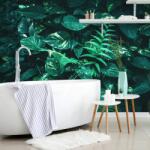 Dovido Fototapet frunze tropicale proaspete - 539x363