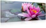 Dovido Tablou floare de lotus roz - 200x100