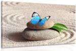 Dovido Tablou fluture albastru în grădină Zen - 120x80