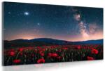Dovido Tablou luncă de maci sălbatici sub stele - 90x60