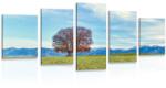 Dovido Tablou 5-piese panorama munțiilor - 150x75