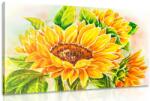 Dovido Tablou floarea soarelui - 60x40