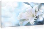 Dovido Tablou floare albă de crin pe fundalul abstract - 30x20