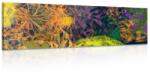 Dovido Tablou abstract colorat - 120x40